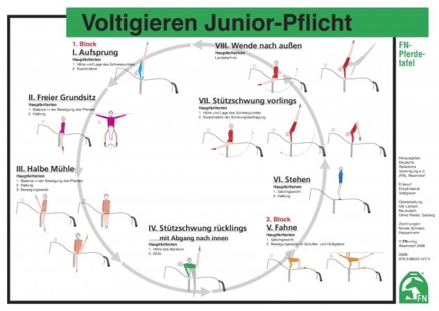 Lehr-/ Pferdetafel (A4) - Voltigieren Junior-Pflicht - Gruppen