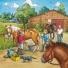3 x 49 Teile Puzzle: Mein Reiterhof