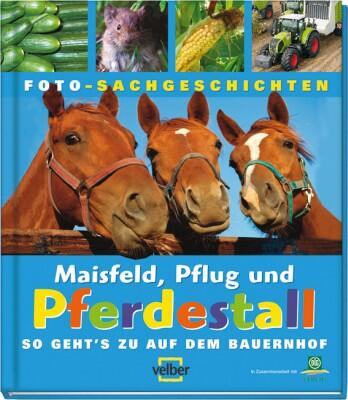 Maisfeld, Pflug und Pferdestall