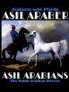 Asil Araber IV - Arabiens edle Pferde