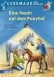 Lesemaus Band 515: Eine Nacht auf dem Ponyhof