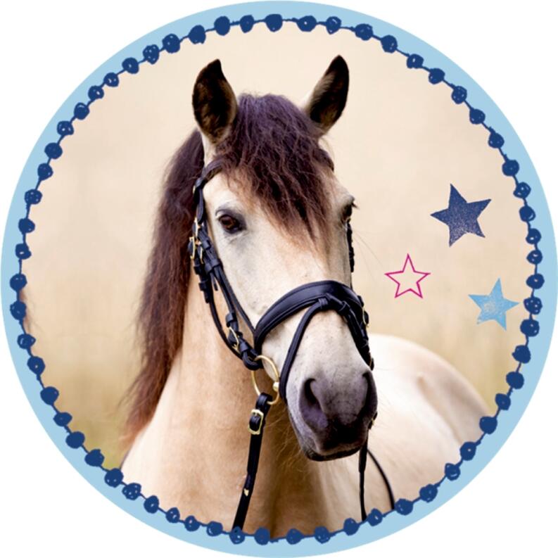 Das große Einhorn-Überrachungs-Set