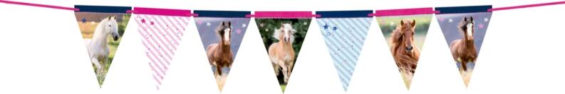 Das große Einhorn-Überrachungs-Set