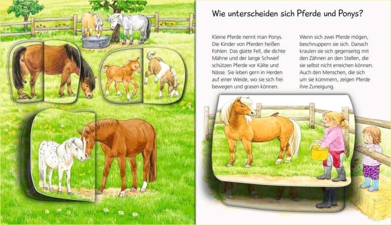 Wieso? Weshalb? Warum? Profiwissen Band 5 - Pferde