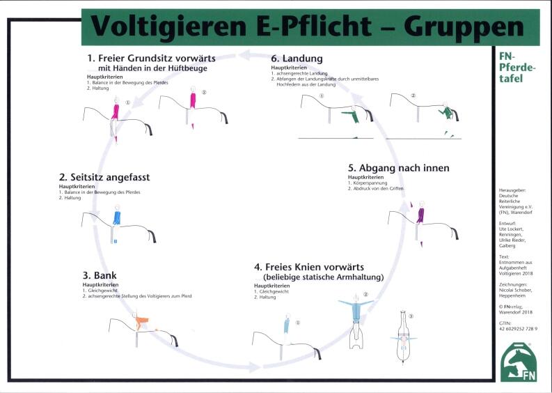 Lehr-/ Pferdetafel (A4) - Voltigieren E-Pflicht - Gruppen