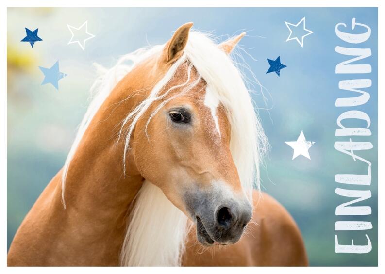 Das große Einhorn-Überrachungs-Set