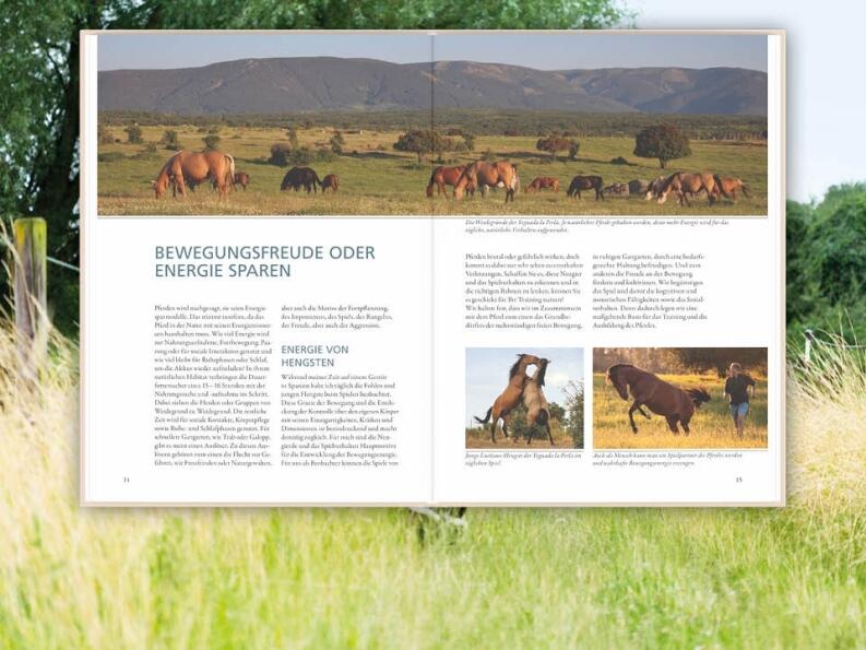 Das Spiel mit der Energie