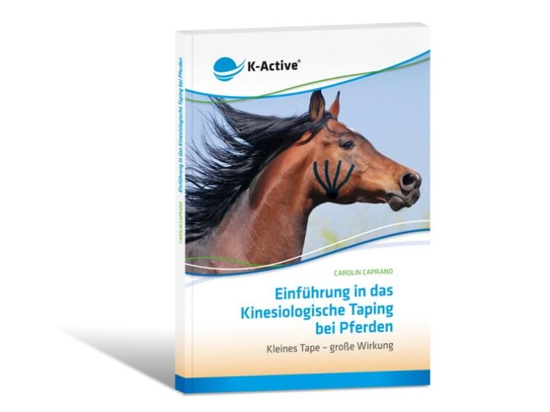 Einführung in das Kinesiologische Taping bei Pferden