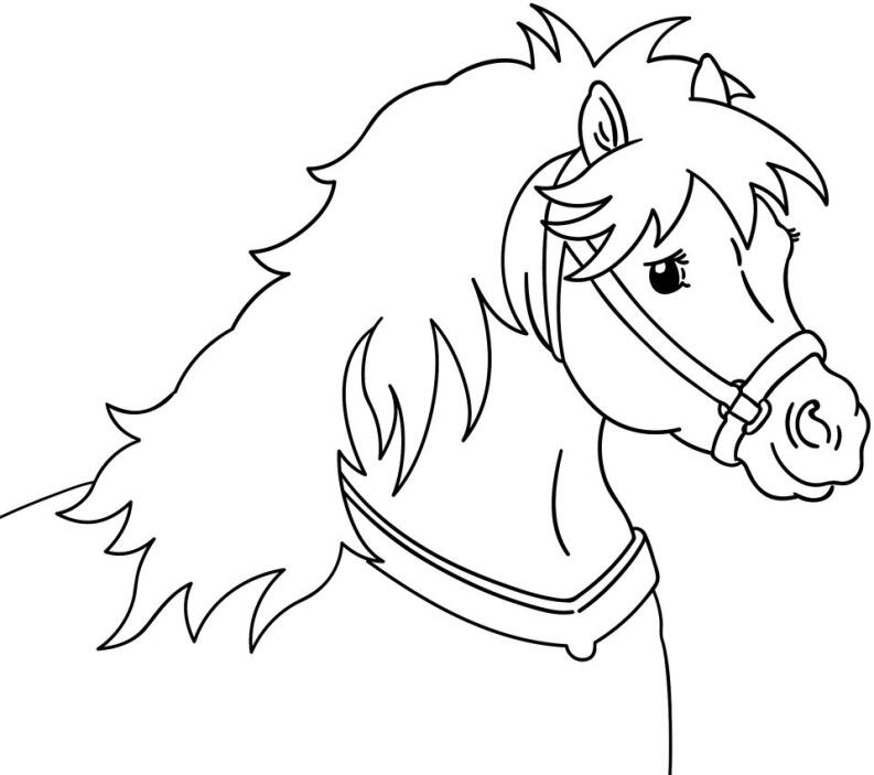 Mein allererster Ausmalspaß - 70 süße Ponys