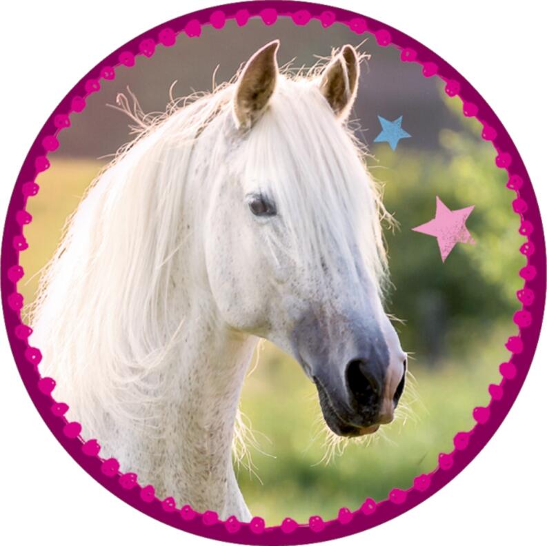 Das große Einhorn-Überrachungs-Set