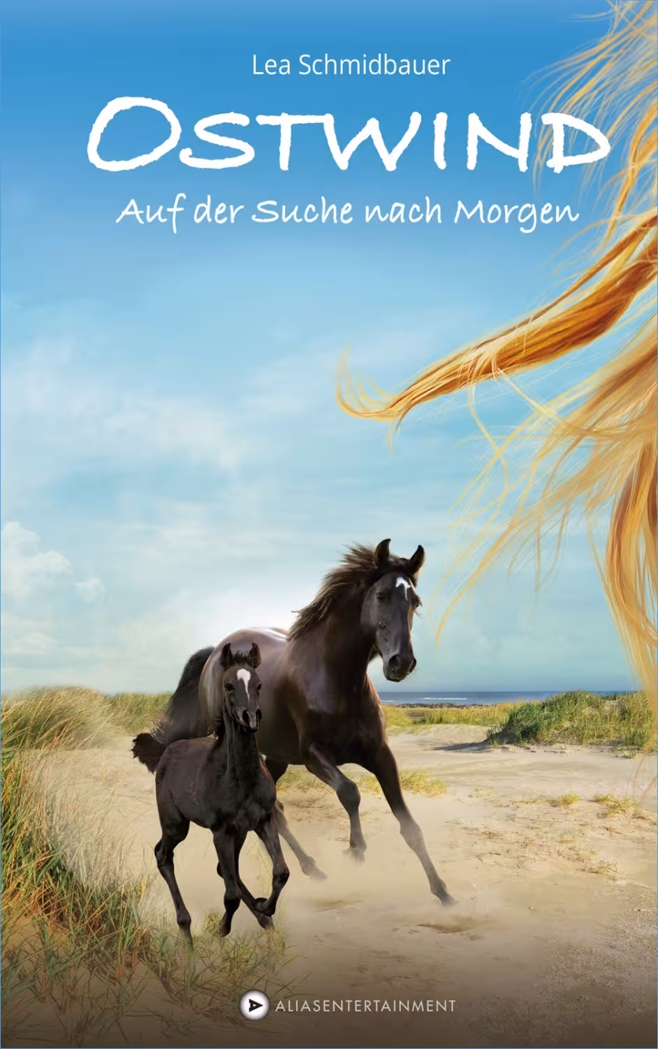 Ostwind, Bd. 04 - Auf der Suche nach Morgen (TB)