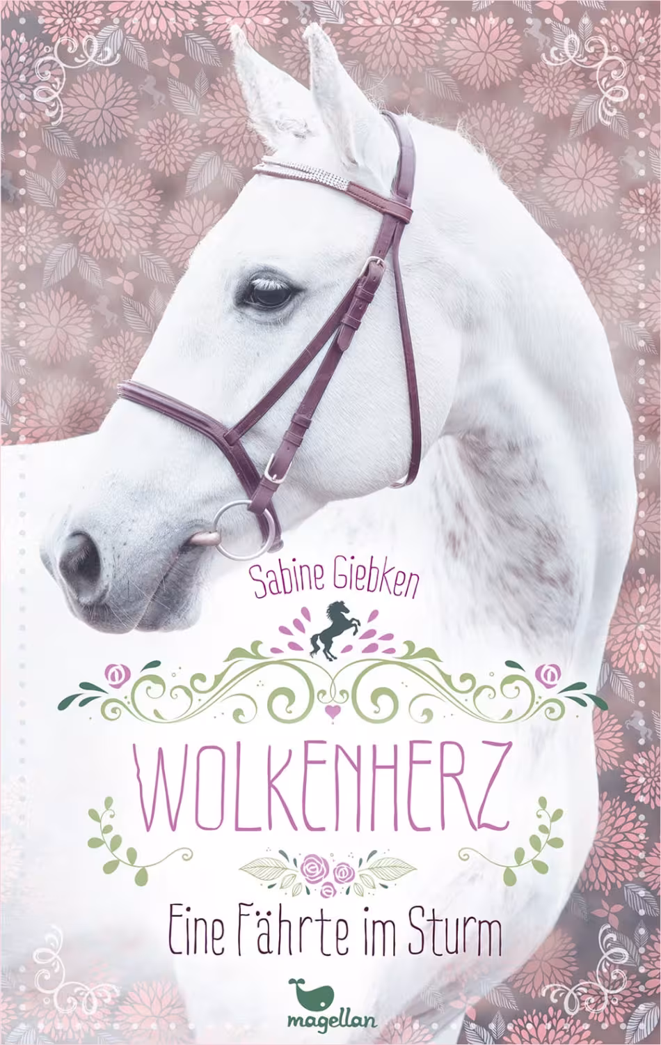 Wolkenherz - Band 02: Eine F&auml;hrte im Sturm