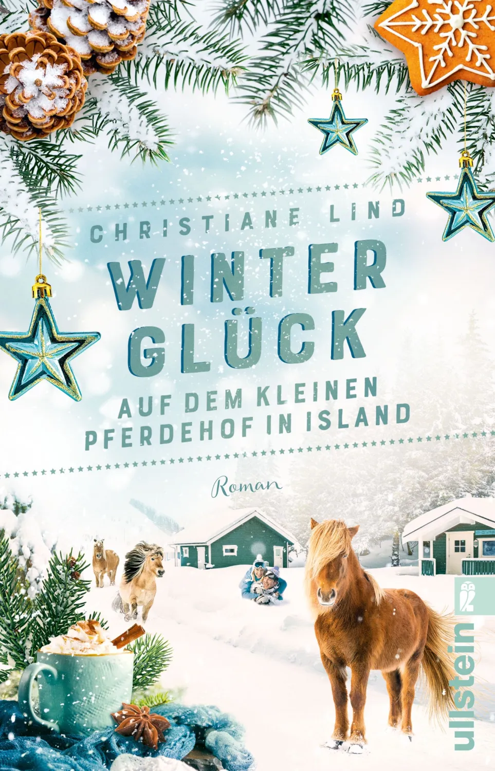 Wintergl&uuml;ck auf dem kleinen Pferdehof in Island